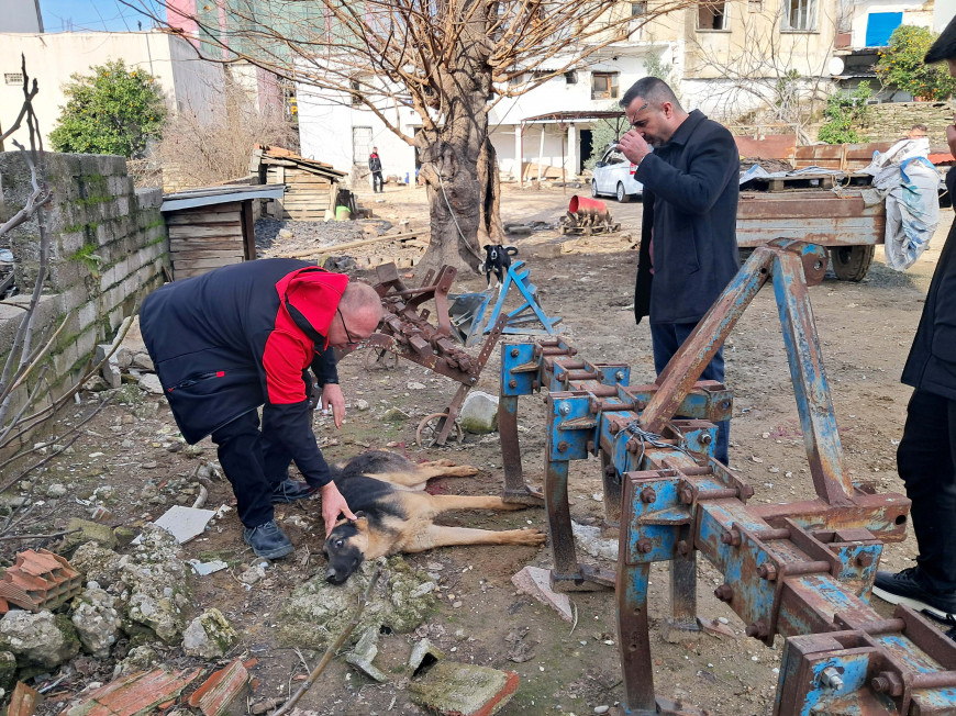 Hayvanlarına zarar verdiğini öne sürdüğü köpeği av tüfeğiyle vurdu