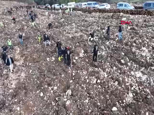 İZMİR - İzmir'de polisin diktiği fidanlar yanan ormanı yeşertecek