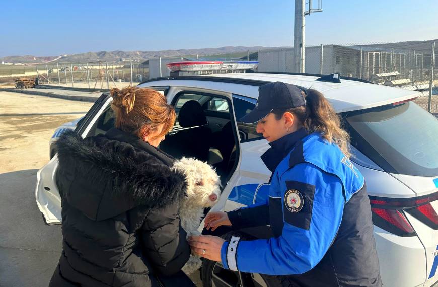 Kız arkadaşını dövüp, köpeğini tekmeleyen şüpheli adliyede (2)