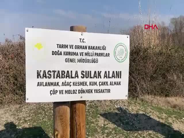 OSMANİYE - Kastabala Sulak Alanı’nda kuş gözlemi